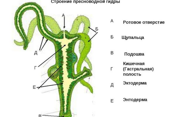 Кракен перестал работать